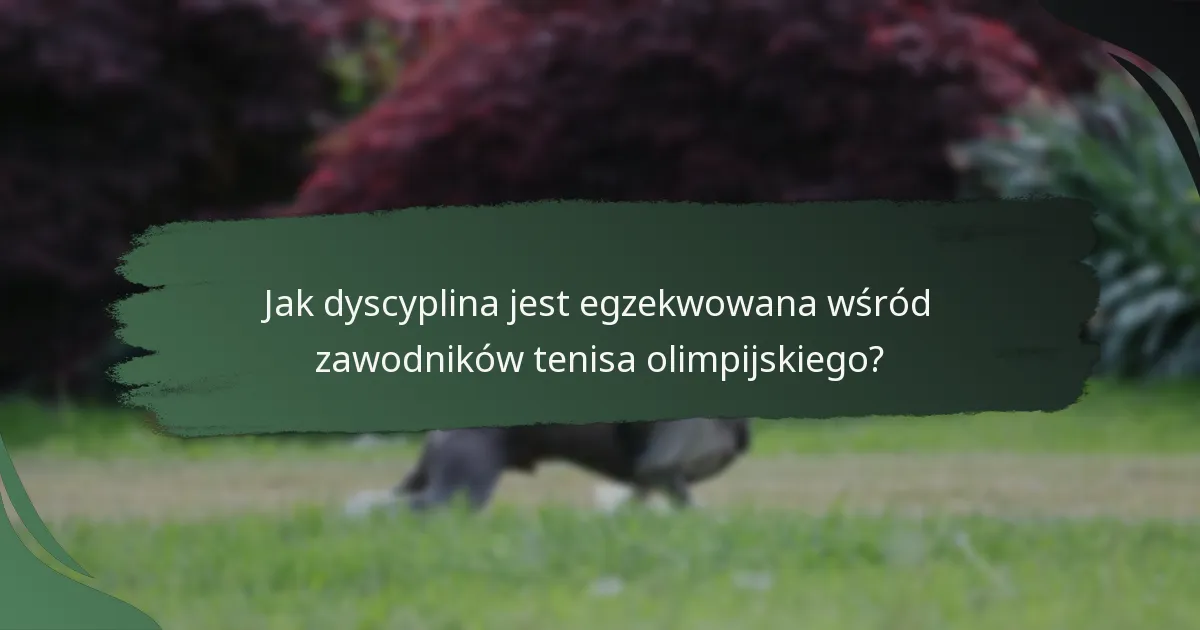 Jak dyscyplina jest egzekwowana wśród zawodników tenisa olimpijskiego?